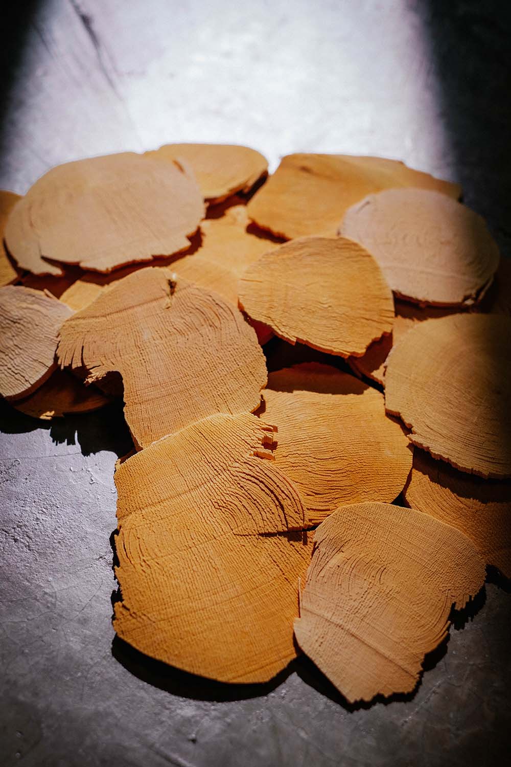 Authentic Malaysian Tongkat Ali Root Slices (Chips) - Pure, Original, Raw