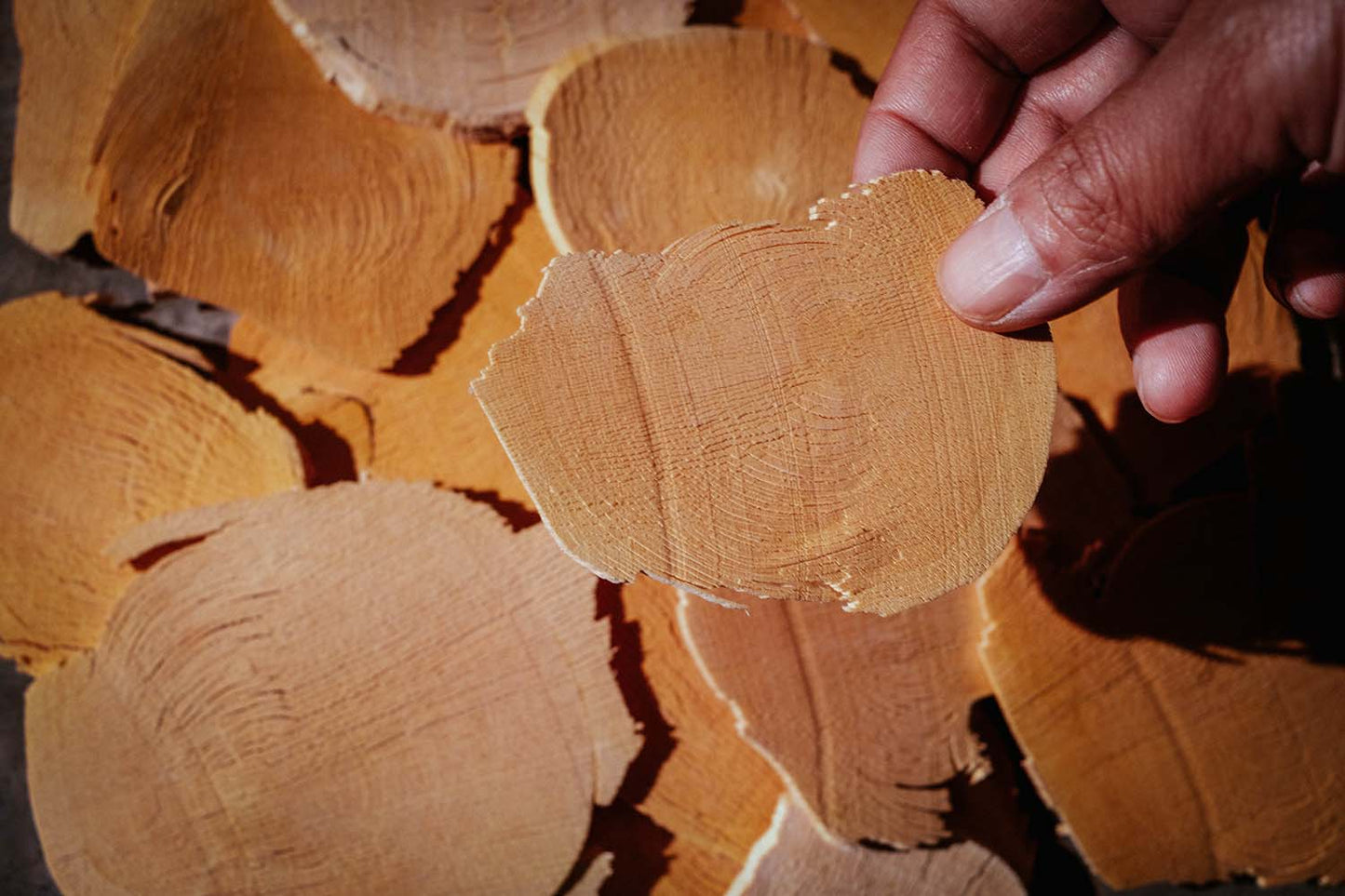 Authentic Malaysian Tongkat Ali Root Slices (Chips) - Pure, Original, Raw