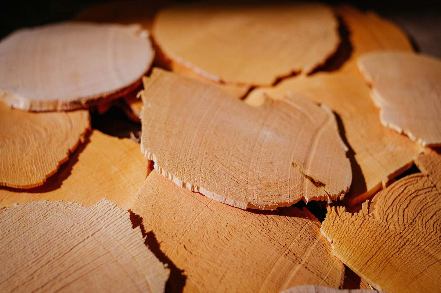 Authentic Malaysian Tongkat Ali Root Slices (Chips) - Pure, Original, Raw