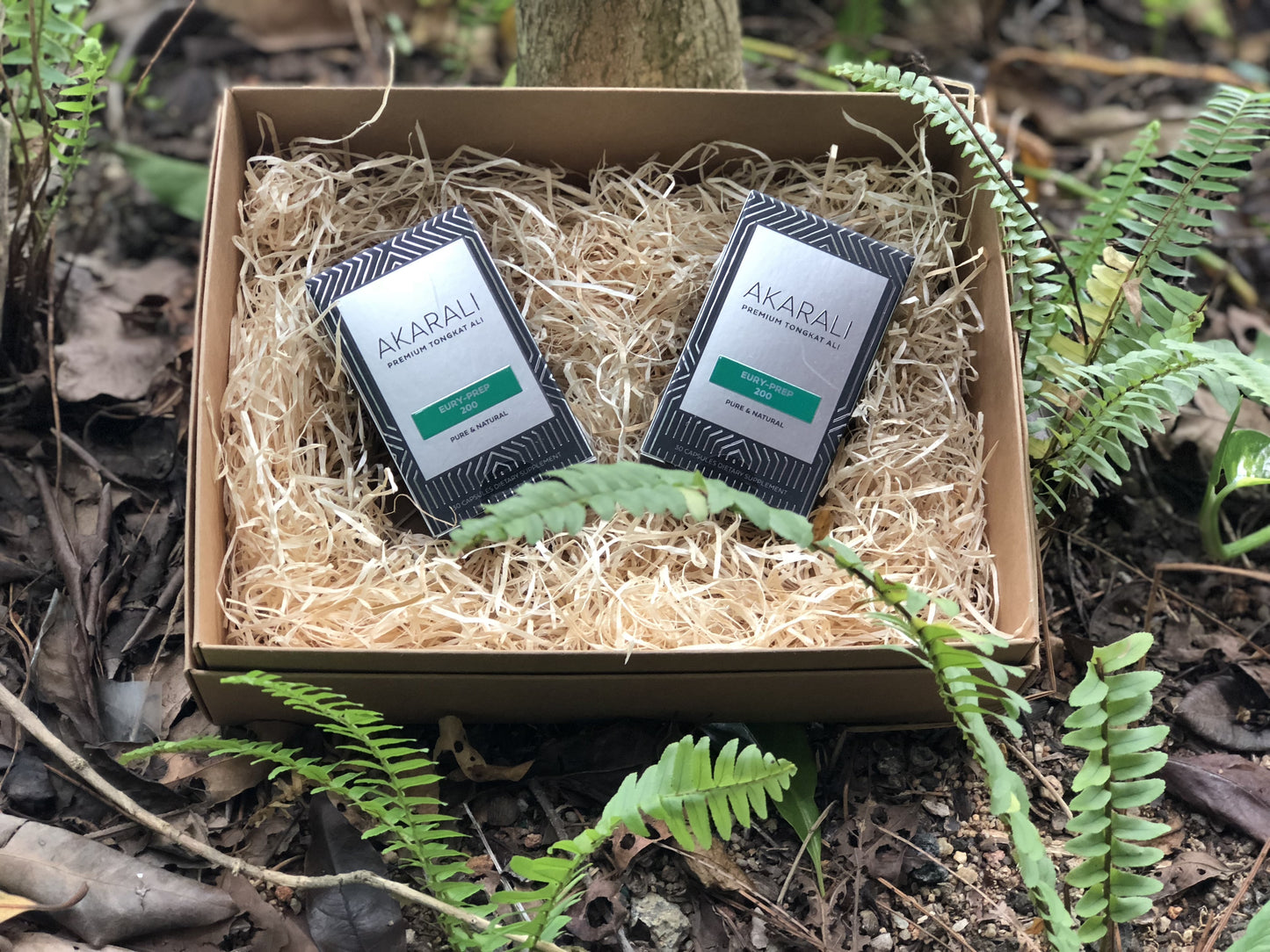 Tongkat Ali Capsule, Root Extract, Standardized - Testosterone Support Supplement