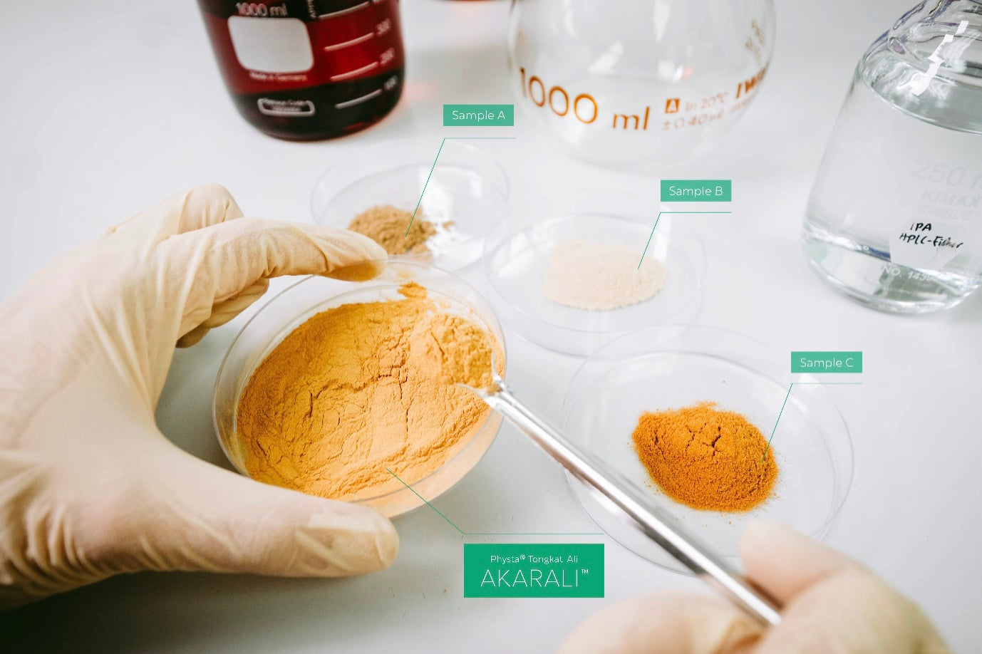 Standardized Hot-Water Tongkat Ali Root Extract Powder (25g)